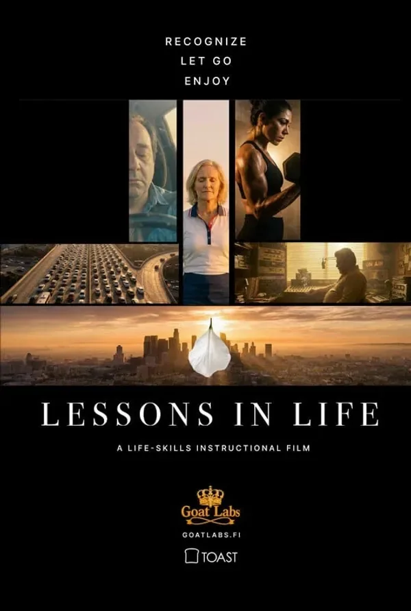 Lessons In Life poster